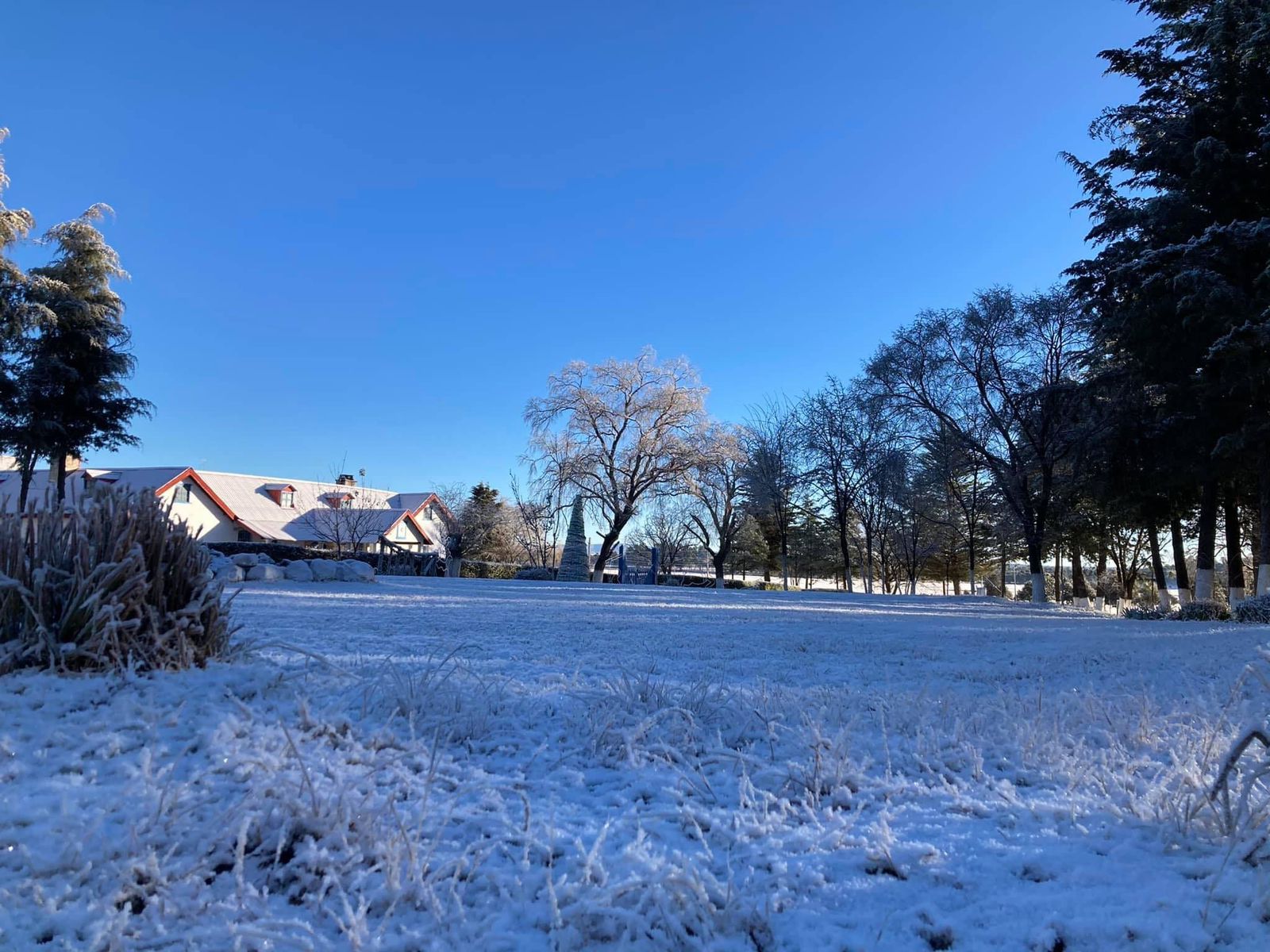 Hacienda Coyotes (59)