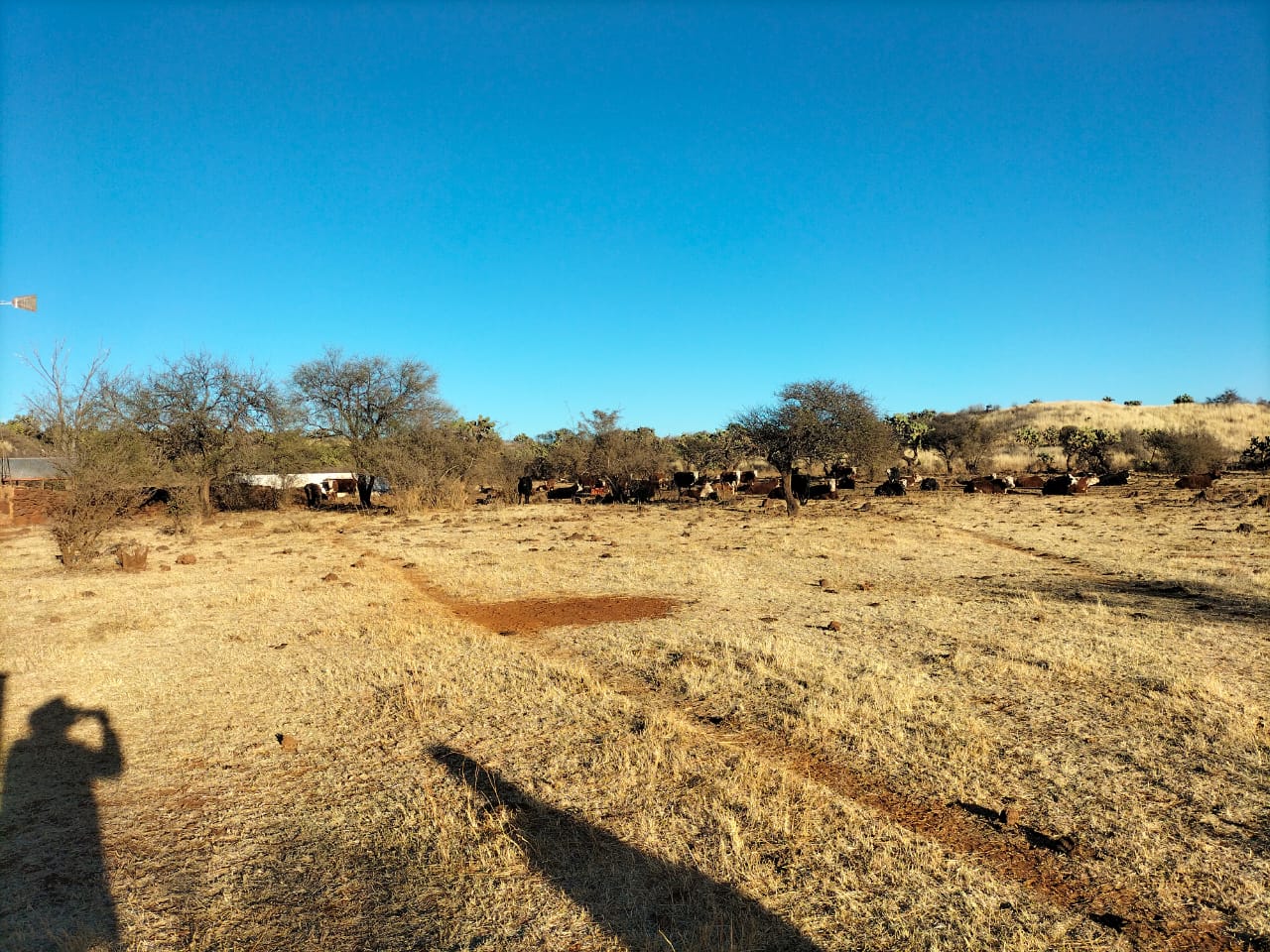 Rancho El Mexicano (13)