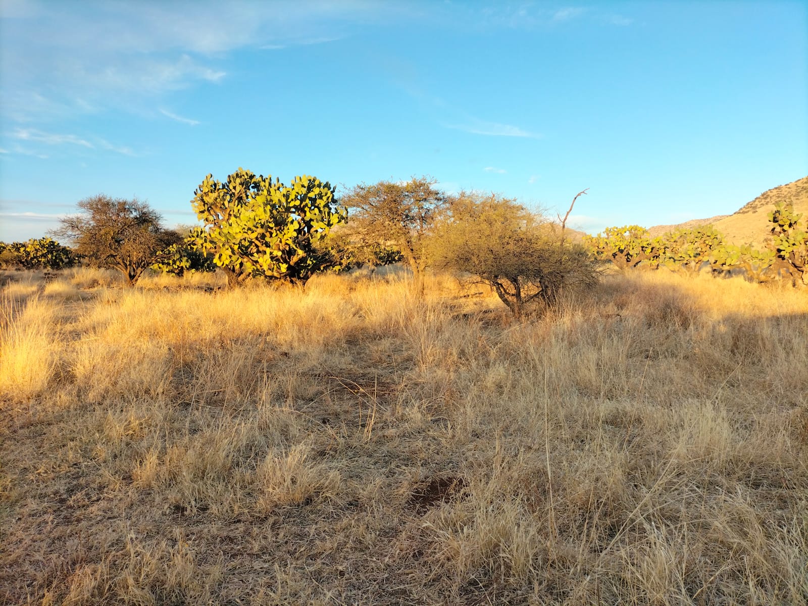 Rancho El Mexicano (14)
