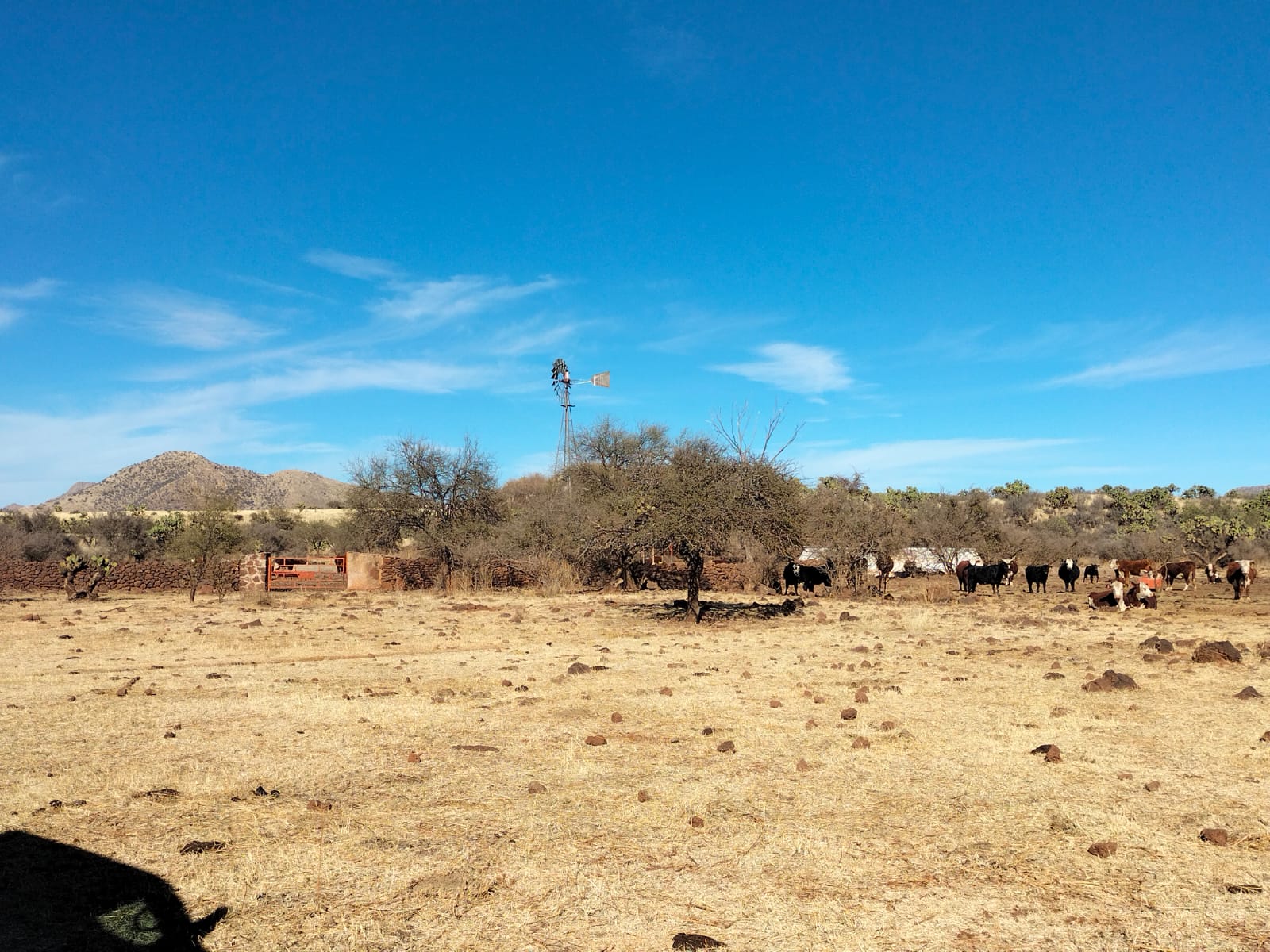 Rancho El Mexicano (6)