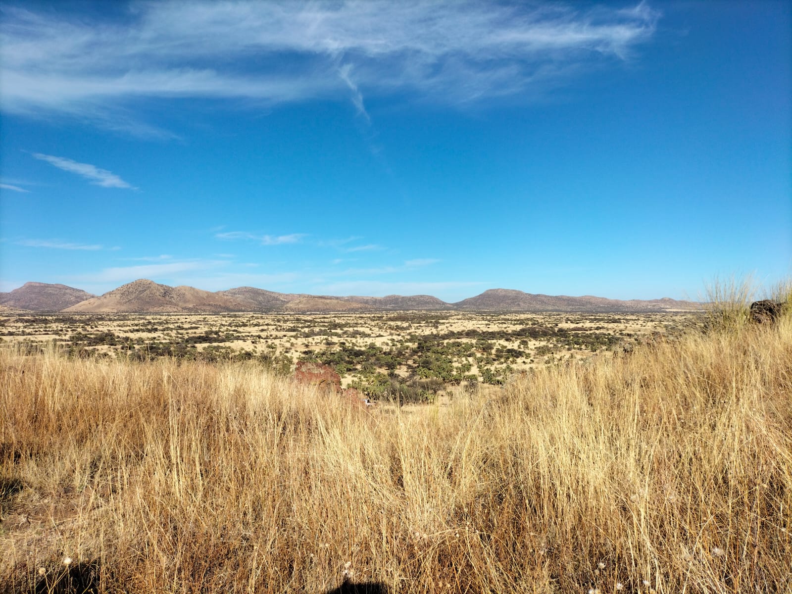 Rancho El Mexicano (8)