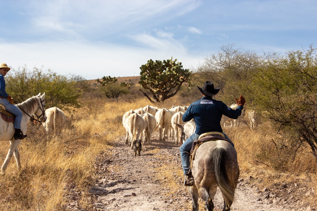 Rancho El Venado (10)