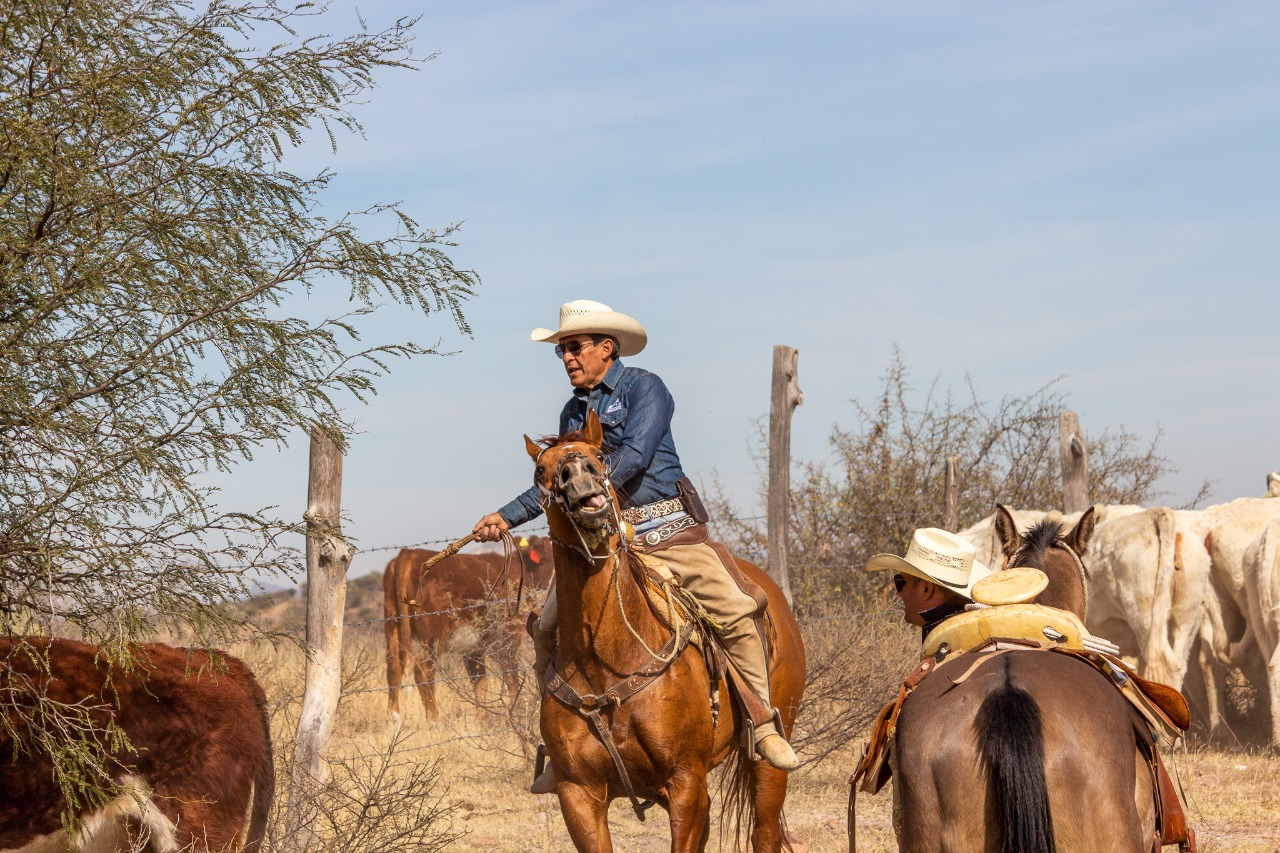 Rancho El Venado (11)