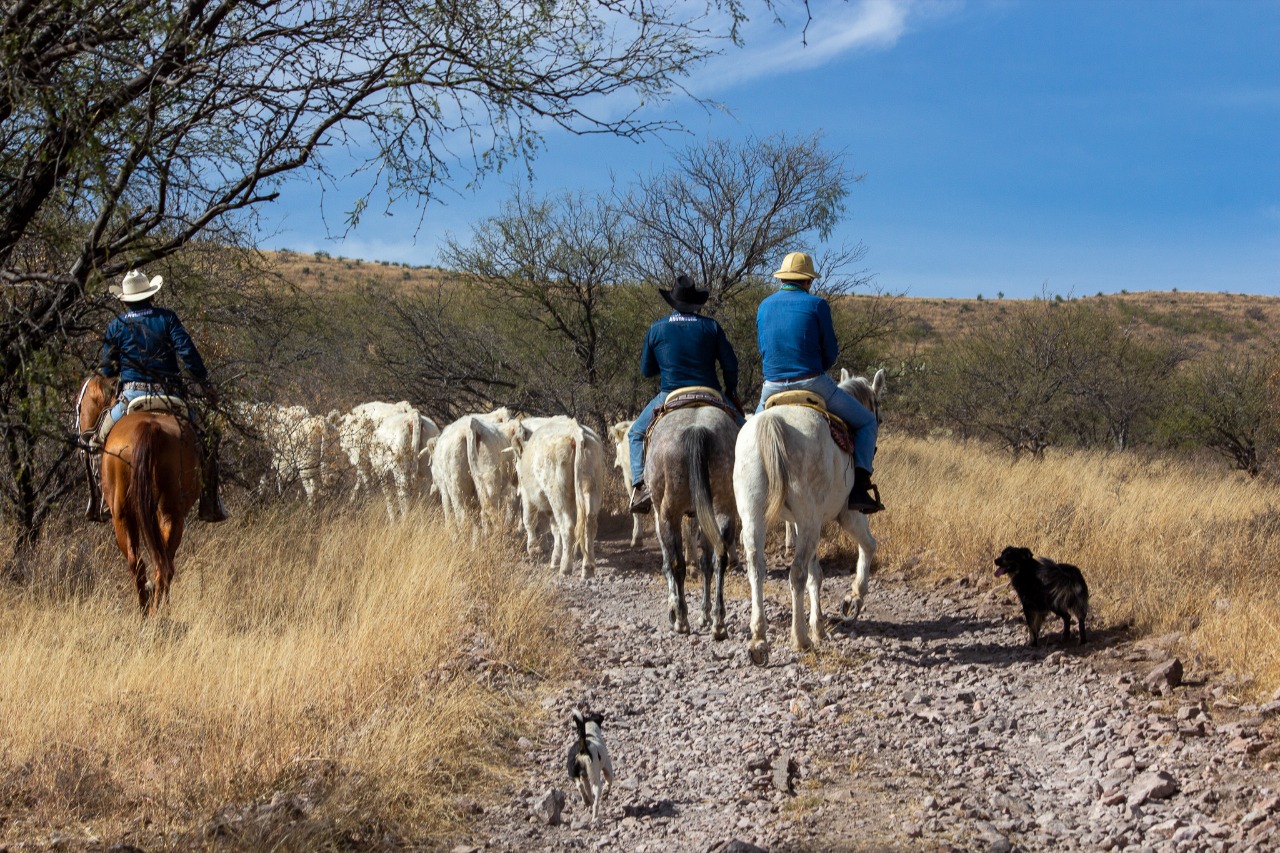 Rancho El Venado (12)
