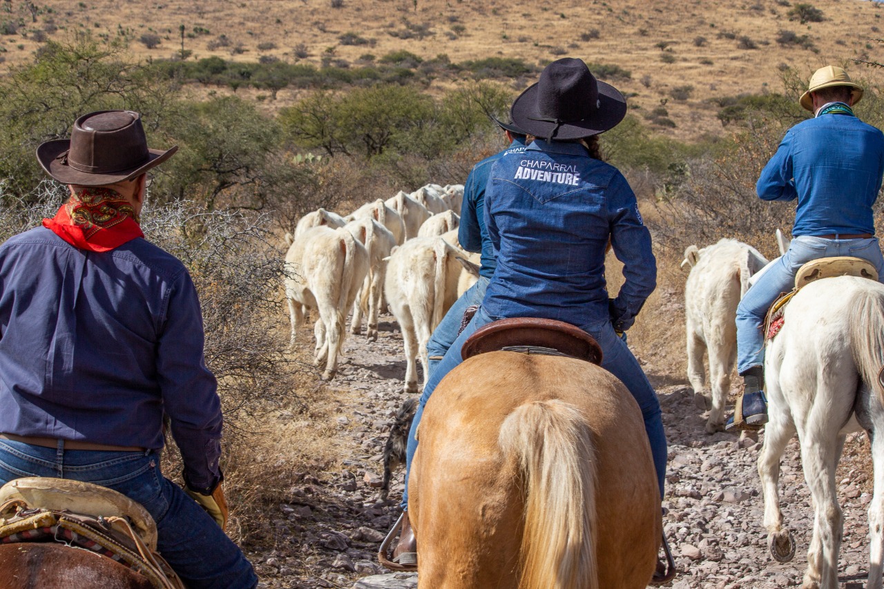 Rancho El Venado (13)