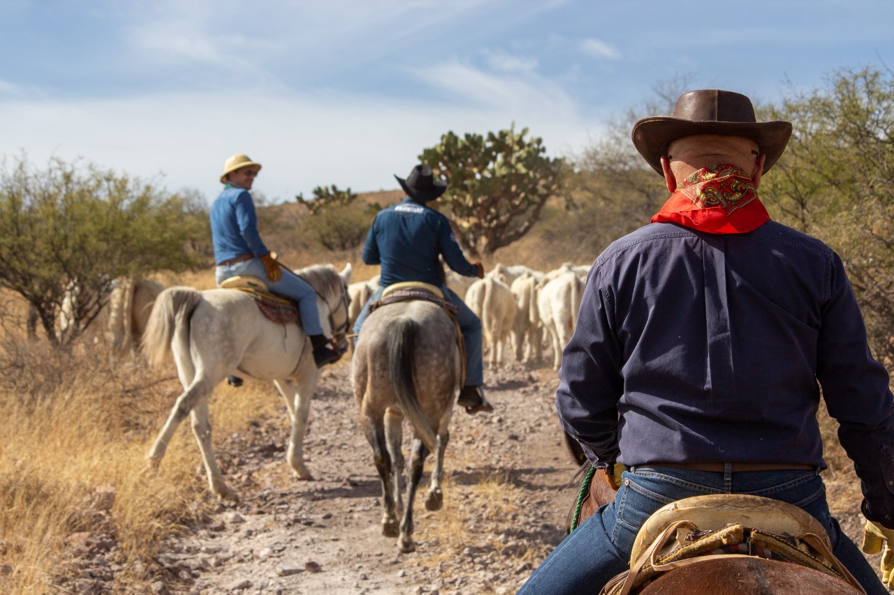 Rancho El Venado (14)