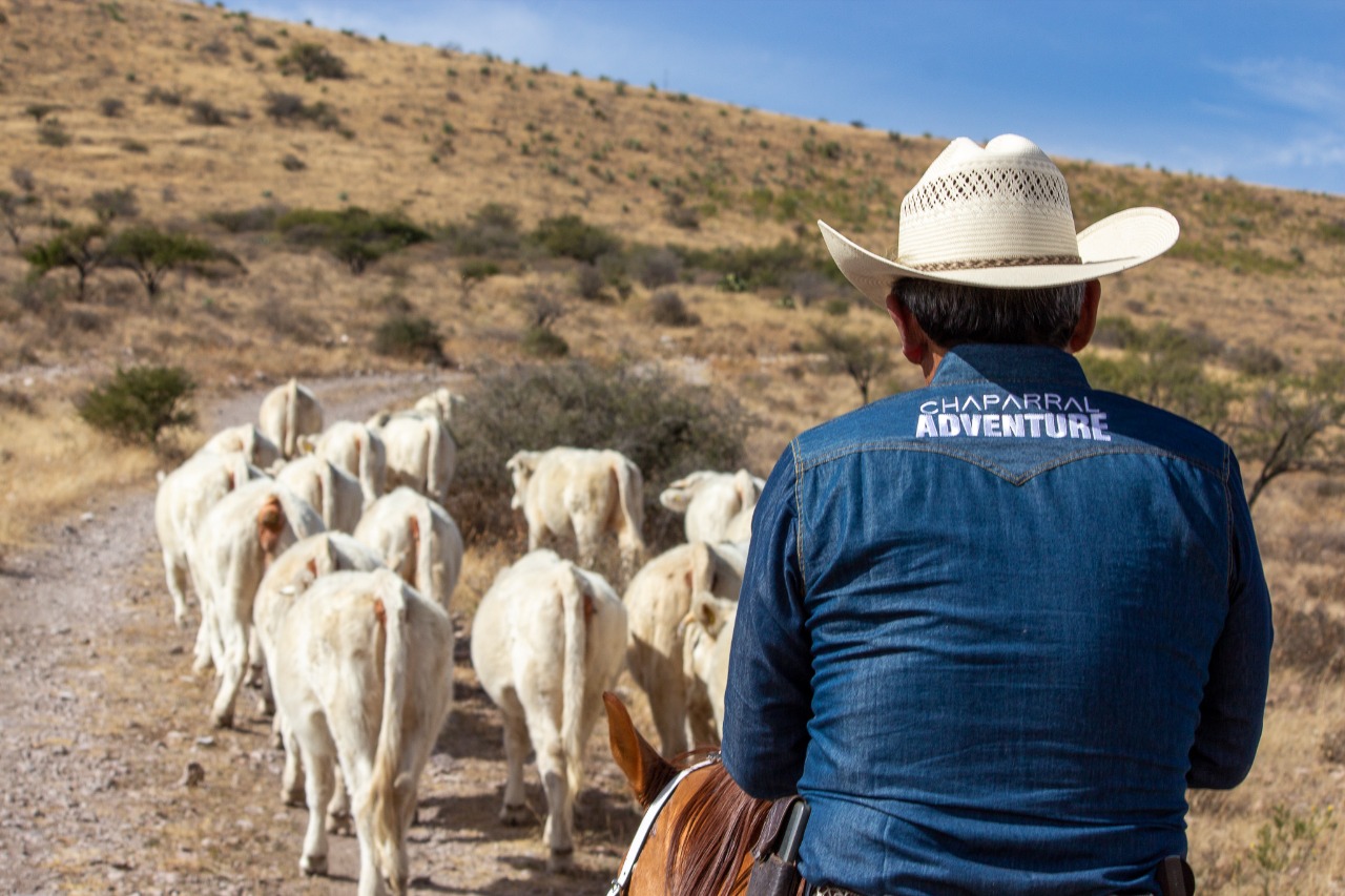 Rancho El Venado (15)