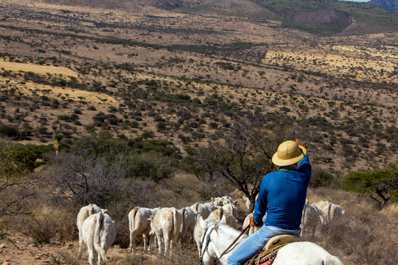 Rancho El Venado (16)