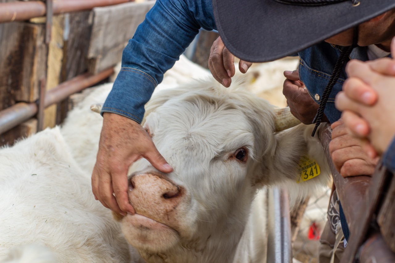 Rancho El Venado (17)