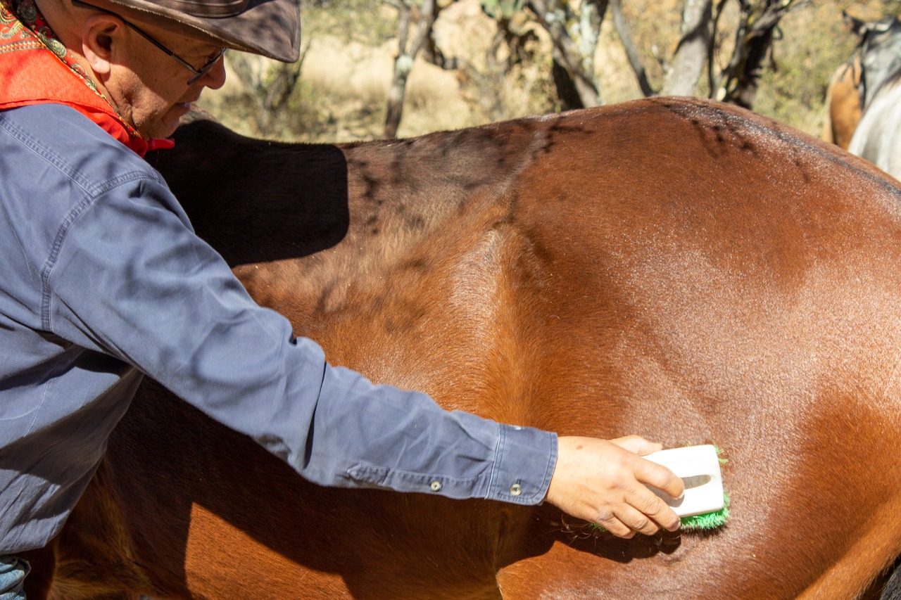 Rancho El Venado (38)