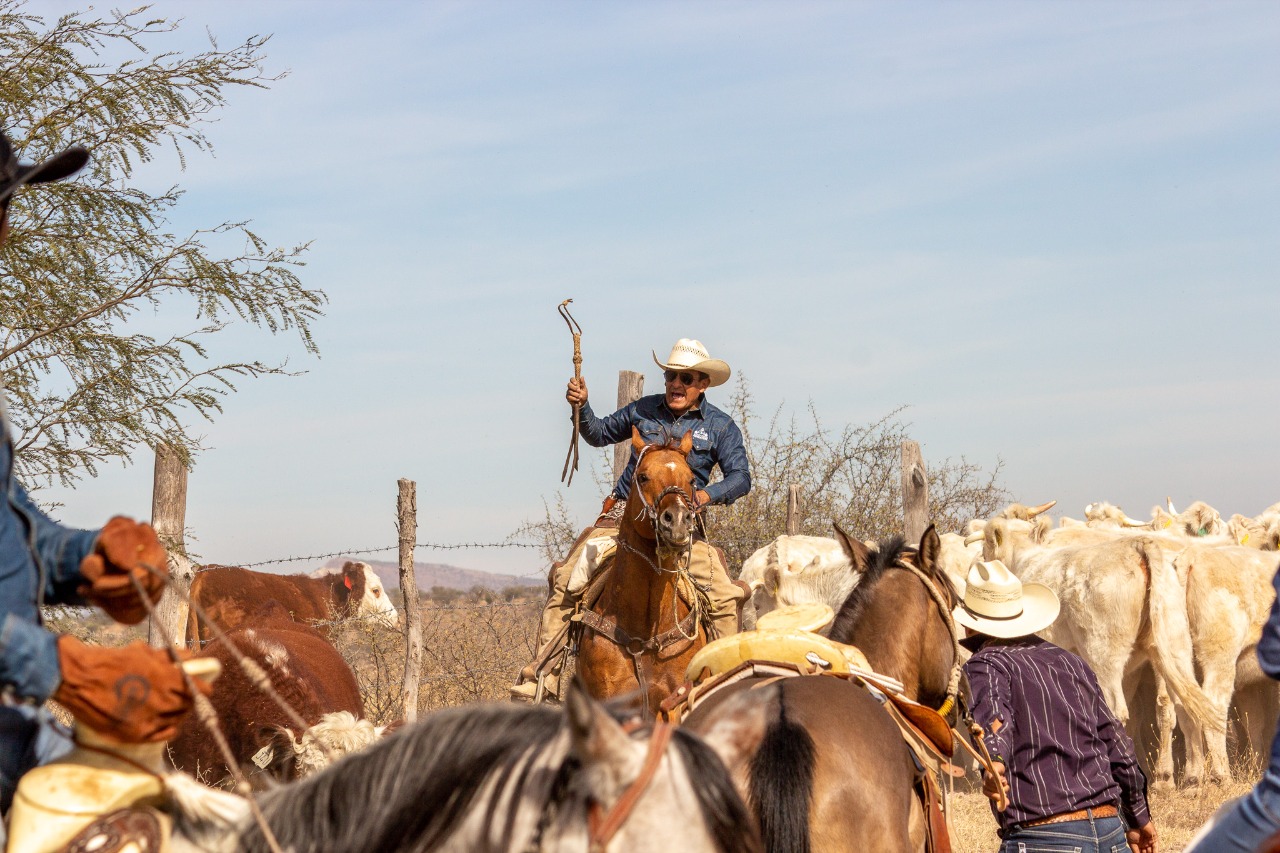 Rancho El Venado (8)